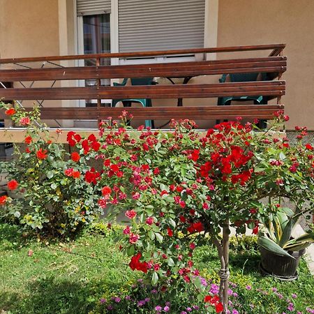 Guesthouse Irac Tuzla Zewnętrze zdjęcie